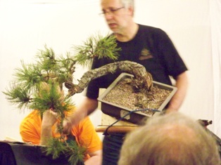 GSBS Annual Bonsai Show 2010 exhibit #11, Great Swamp Bonsai Society Roseland New Jersey